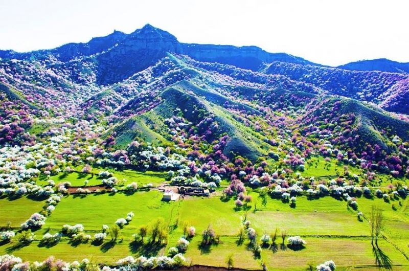 Cao nguyên Yili tại Tân Cương (Trung Quốc)