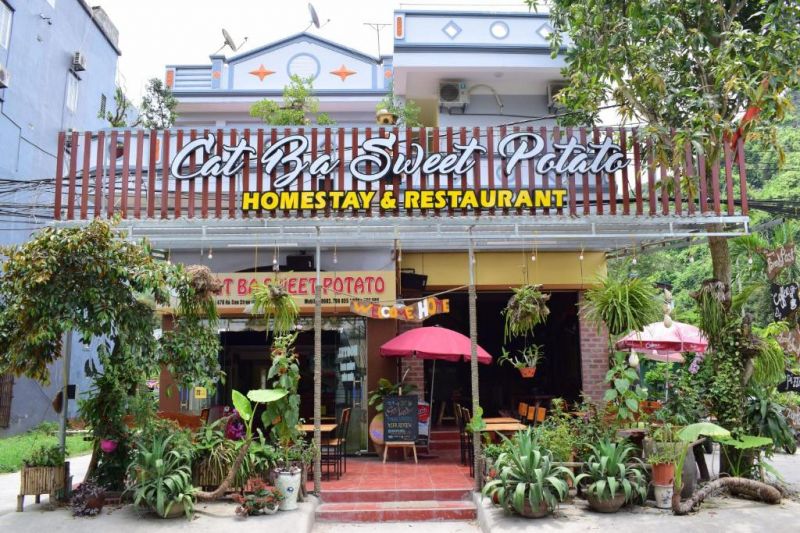 Cat Ba Sweet Potato Homestay & Restaurant