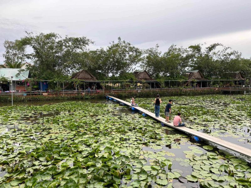 Câu Cá Giải Trí Dừa Cạn