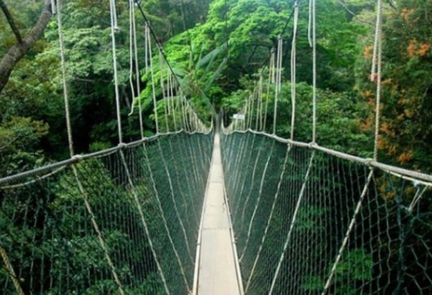 Cầu đi bộ ở vườn quốc gia Taman