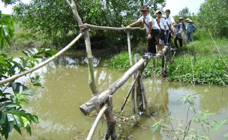 Cầu khỉ ở Việt Nam