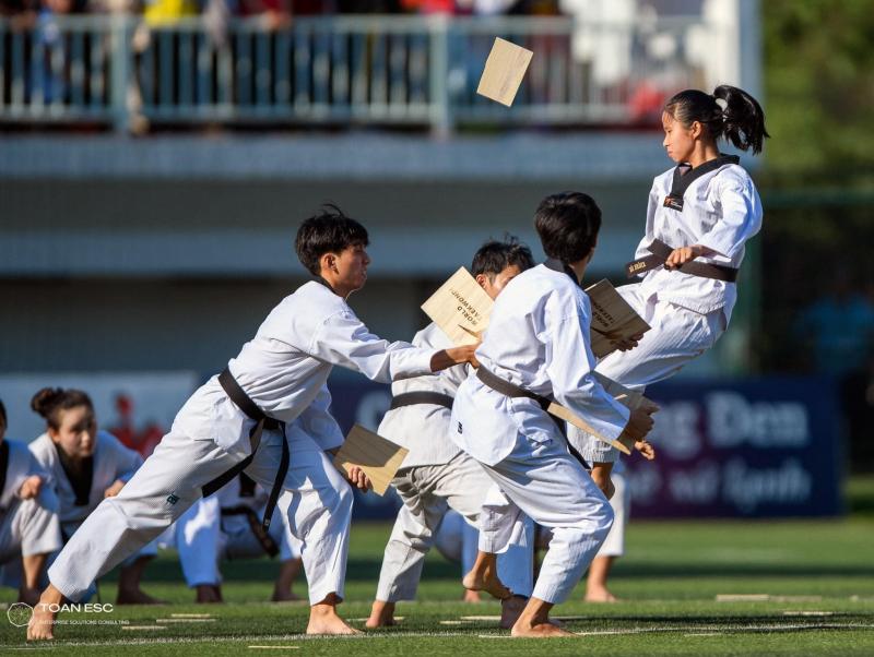 Câu Lạc Bộ Taekwondo Bạch Hổ - TPHCM