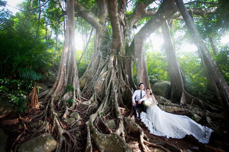 Cây đa nghìn năm minh chứng cho tình vợ chồng bền lâu