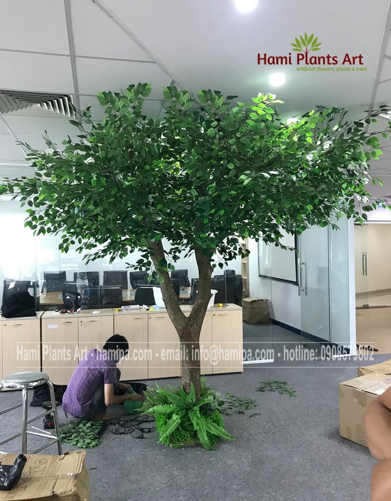 Cây Giả Trang Trí - Hami Plants Art