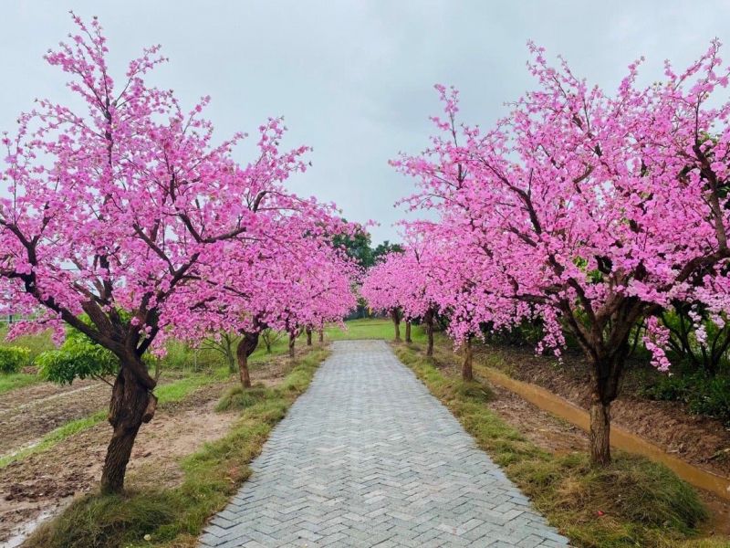 Tổng Kho Không Gian Hoàn Mỹ