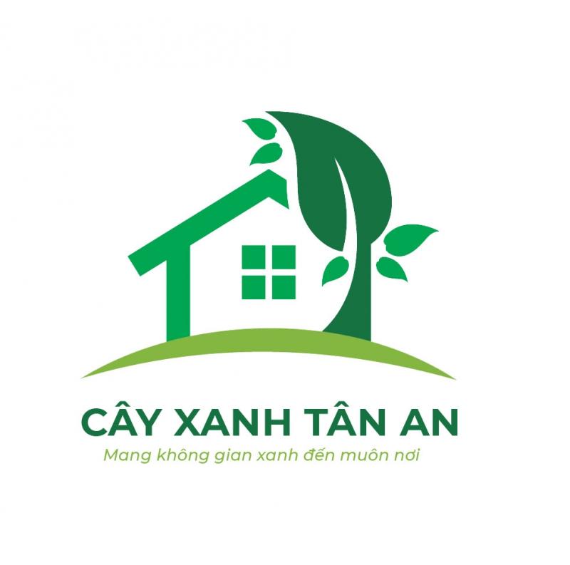 Cây xanh Tân An