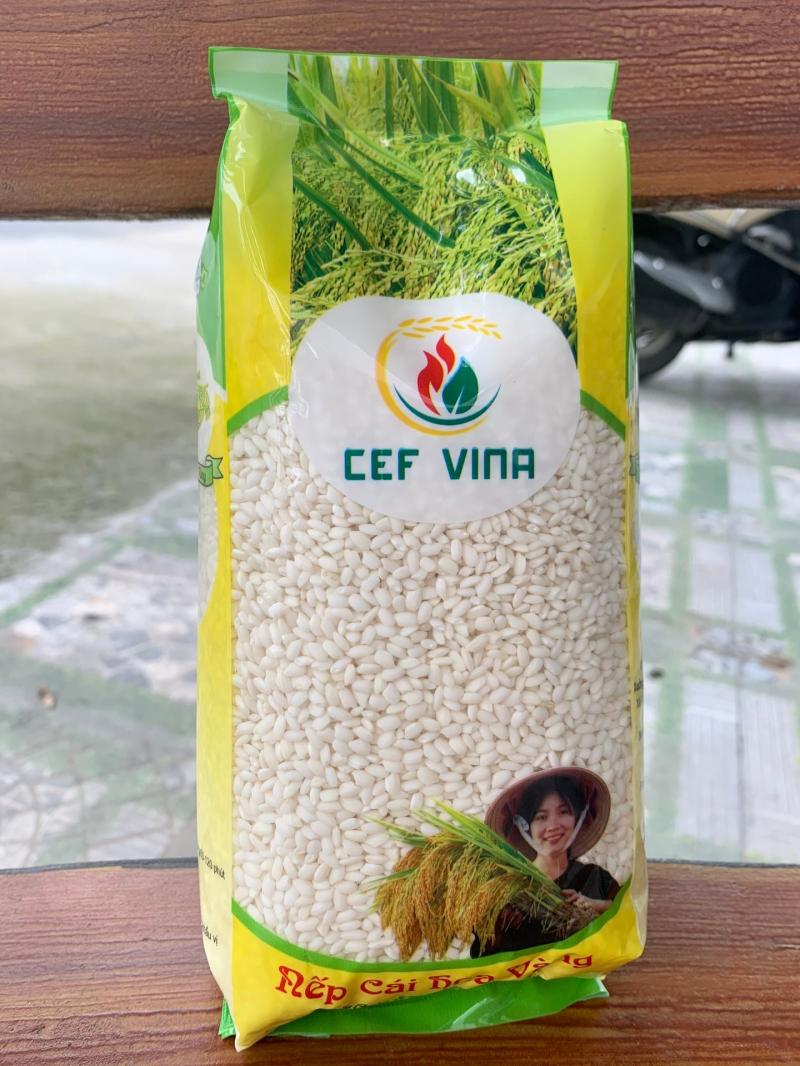 CEF Vina