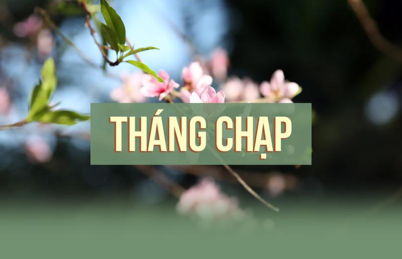 Chạp