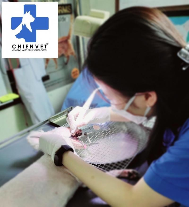 Chien Vet Clinic