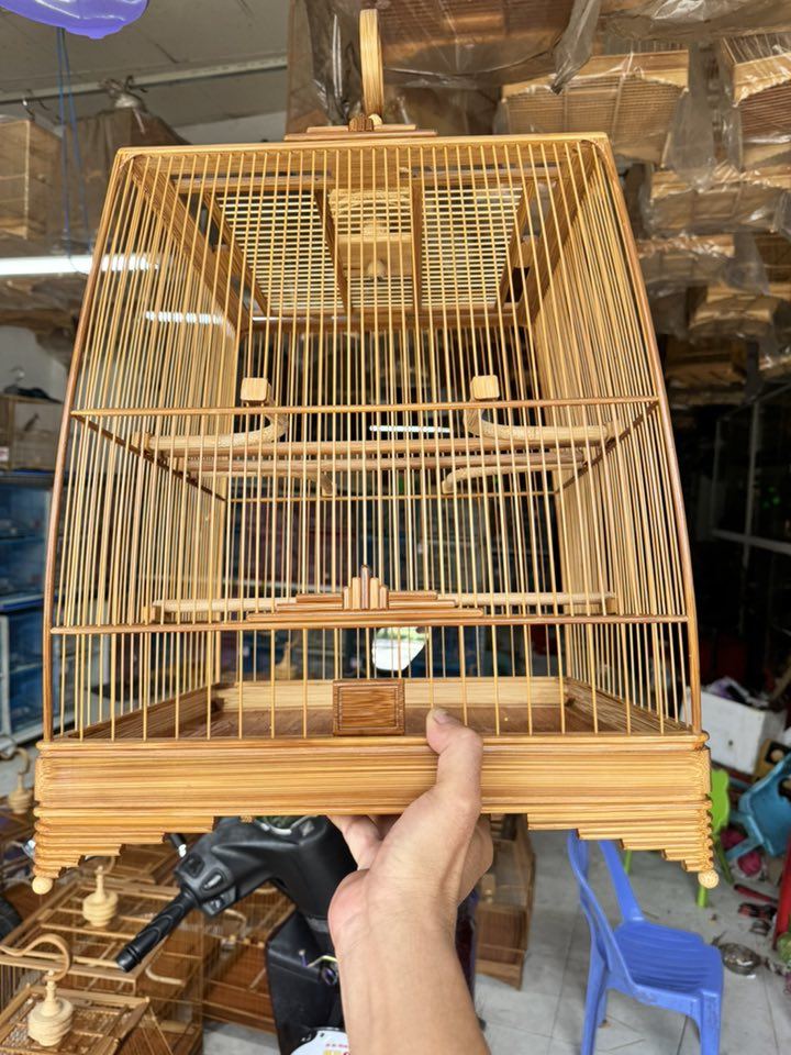 Chim Cảnh Anh Thương