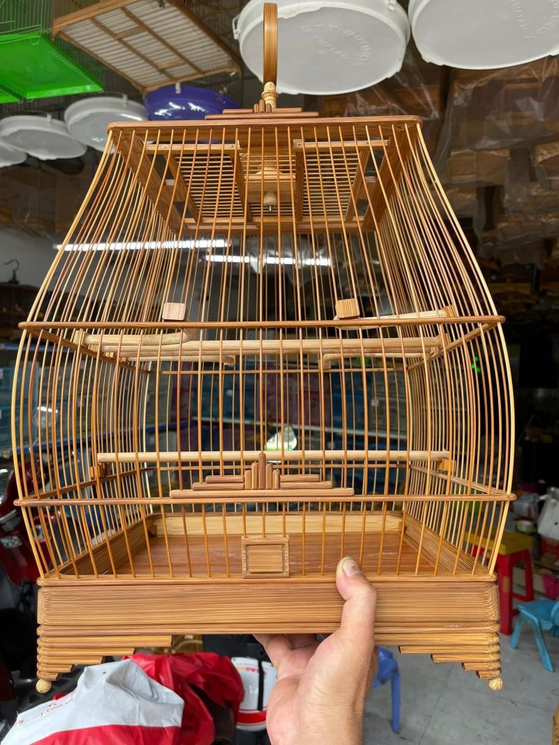 Chim Cảnh Anh Thương