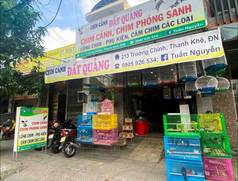 Chim cảnh Đất Quảng