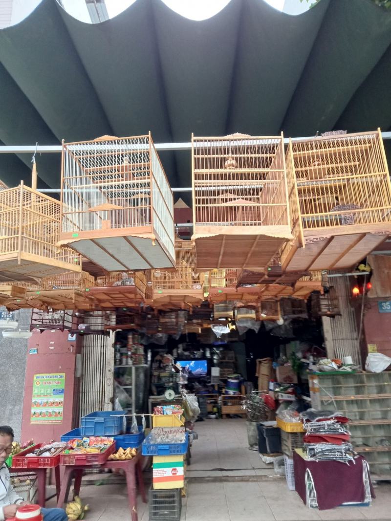 Chim Cảnh Hoà Bình