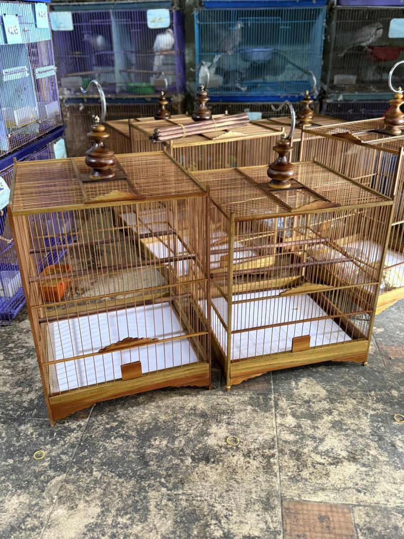 Chim Cảnh Sông Thu Đà Nẵng