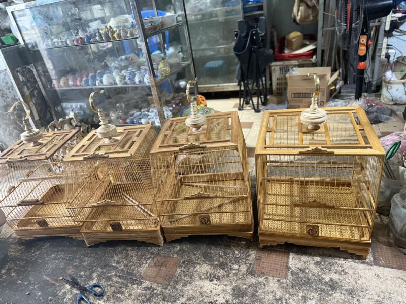 Chim Cảnh Sông Thu Đà Nẵng