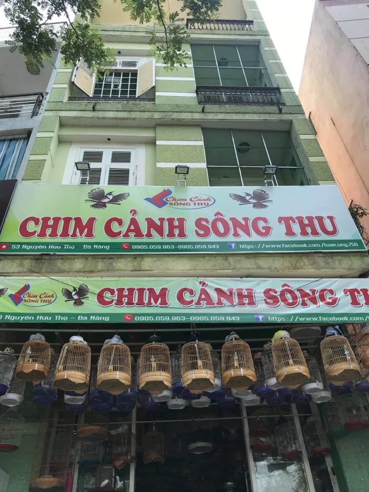 Chim Cảnh Sông Thu Đà Nẵng