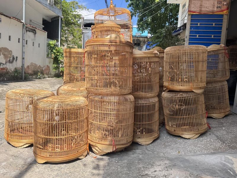 Chim Cảnh Việt Nam