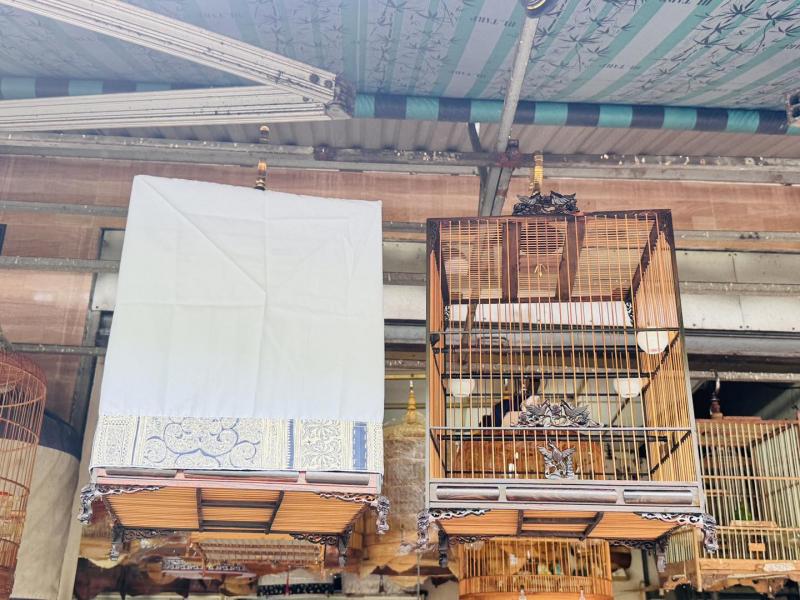 Chim Cảnh Việt Nam