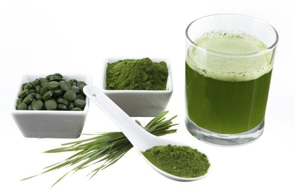 Chlorella và Spirulina