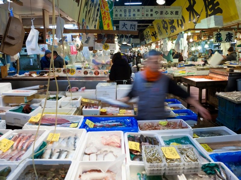 Những con cá tươi ngon ở khu bán lẻ hải sản