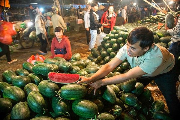 Bạn có thể tìm thấy tất cả các loại hoa quả mà bạn cần mà giá cả rất phải chăng, chất lượng