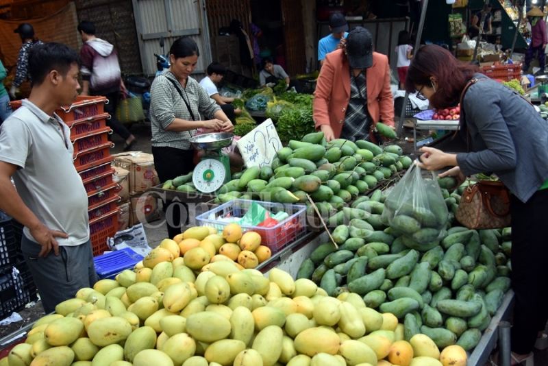 Chợ đầu mối phía Nam