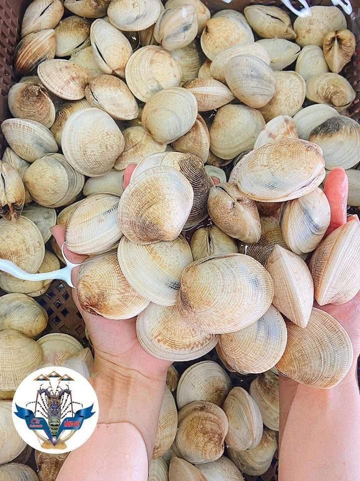 Chợ Hải Sản Bảo Bảo