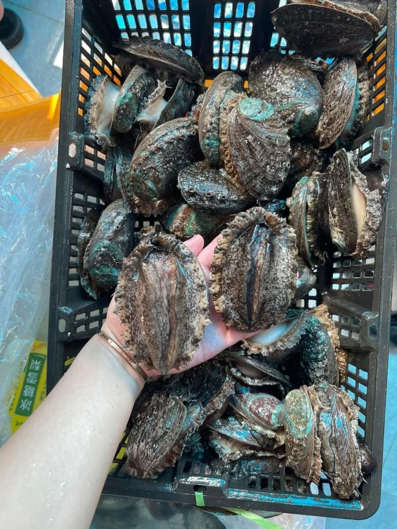 Chợ Hải Sản Bảo Bảo