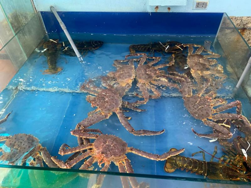 Chợ hải sản Biển Đông 36