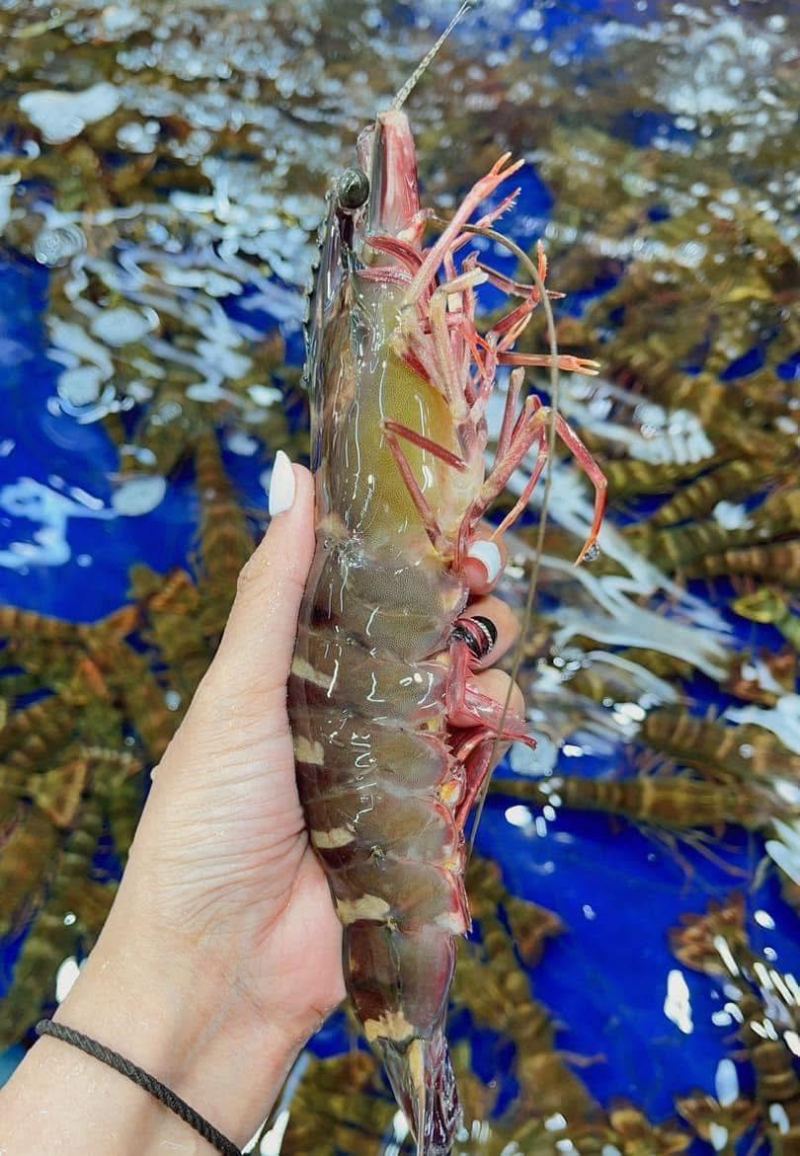 Chợ Hải Sản Hằng Duy