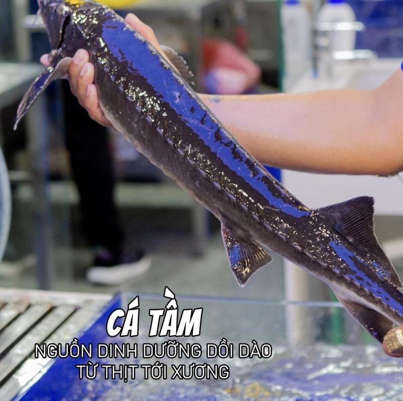 Chợ Hải Sản Phú Quốc