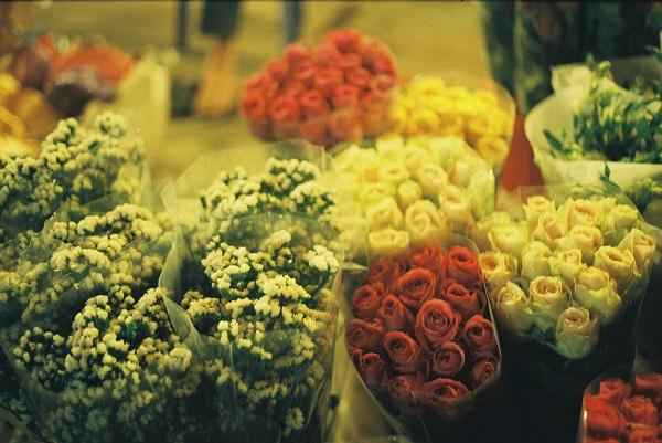 Chợ hoa đêm Quảng Bá