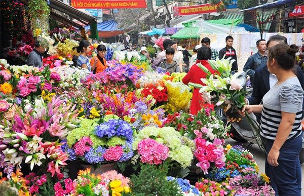 Top 14 Chợ hoa đẹp nhất Hà Nội dịp Tết Nguyên Đán 2023 - Toplist.vn
