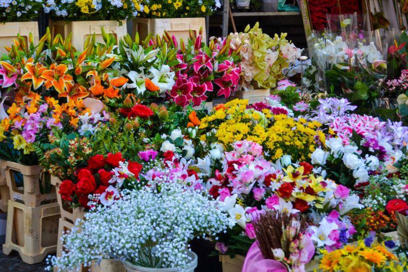 Chợ hoa Quảng An
