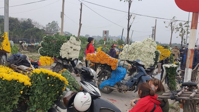 Chợ hoa Tây Tựu