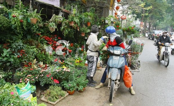 Chợ hoa Xuân đường Bưởi - Hoàng Hoa Thám