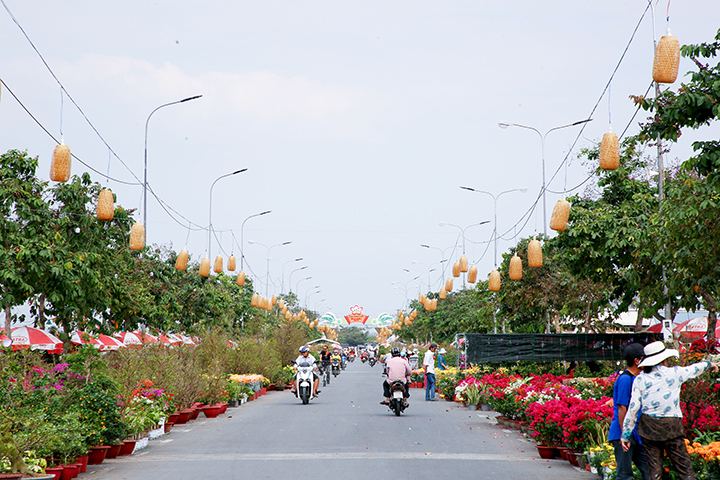 Chợ hoa Xuân Bình Điền