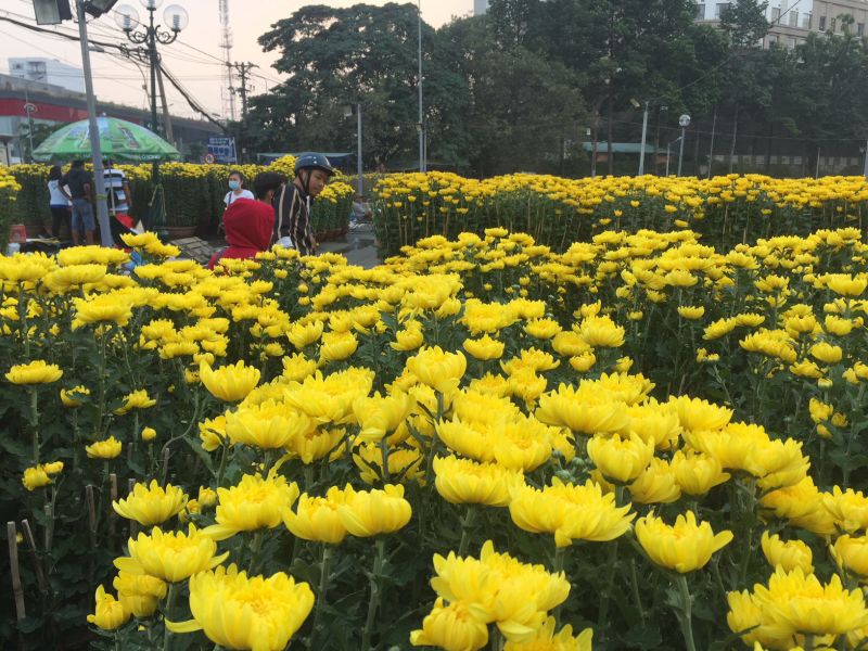 Chợ hoa xuân Phú Mỹ Hưng