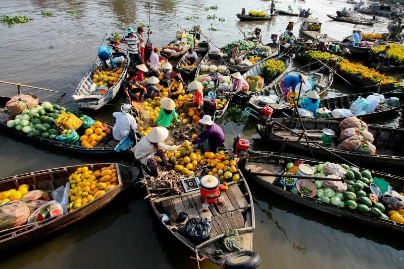 Chợ đầu mối trái cây lớn nhất Việt Nam