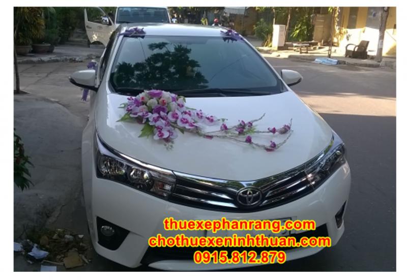 Cho thuê xe đám cưới Ninh Thuận