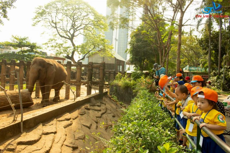 Chơi công viên ngày tết thiếu nhi