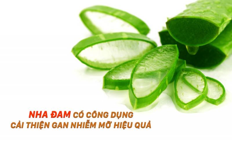 Chữa gan nhiễm mỡ bằng lô hội