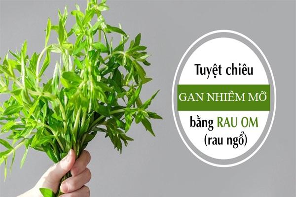 Chữa gan nhiễm mỡ bằng rau ngổ