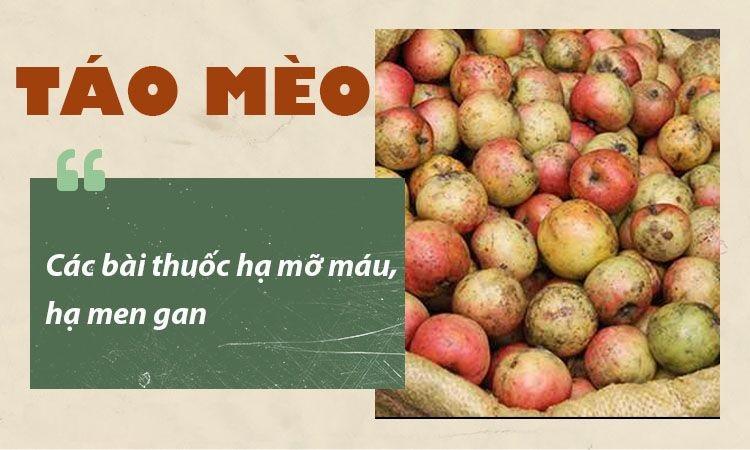 Chữa gan nhiễm mỡ bằng táo mèo