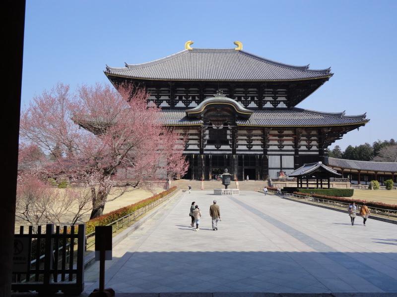 Chùa Todaiji - Công trình kiến trúc bằng gỗ lớn nhất thế giới
