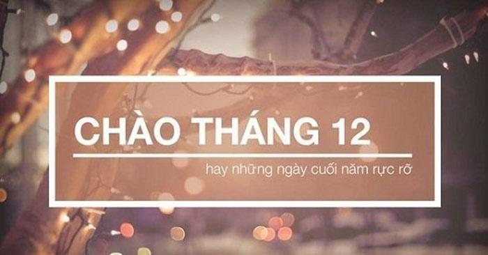 Ảnh minh họa (nguồn internet)