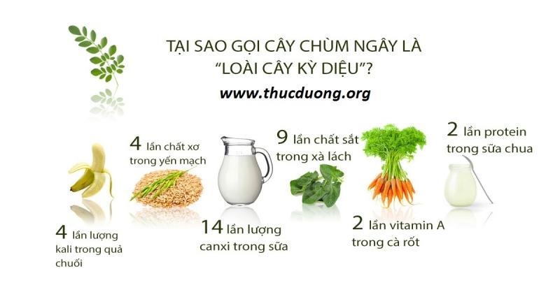 Tác dụng của chùm ngây đối với sức khỏe