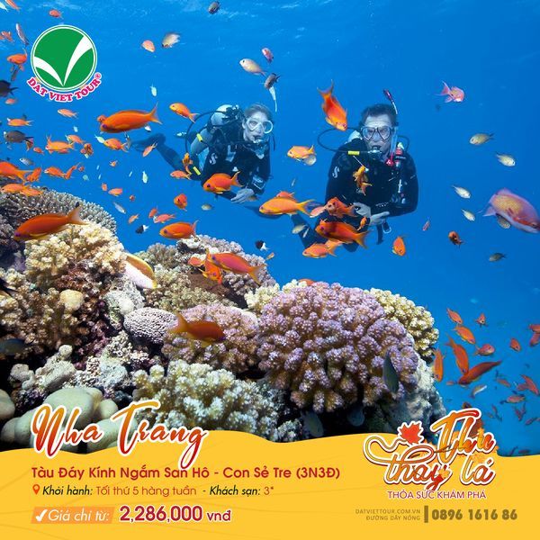 Chương trình khuyến mãi chào mừng 20/10 của Đất Việt Tour