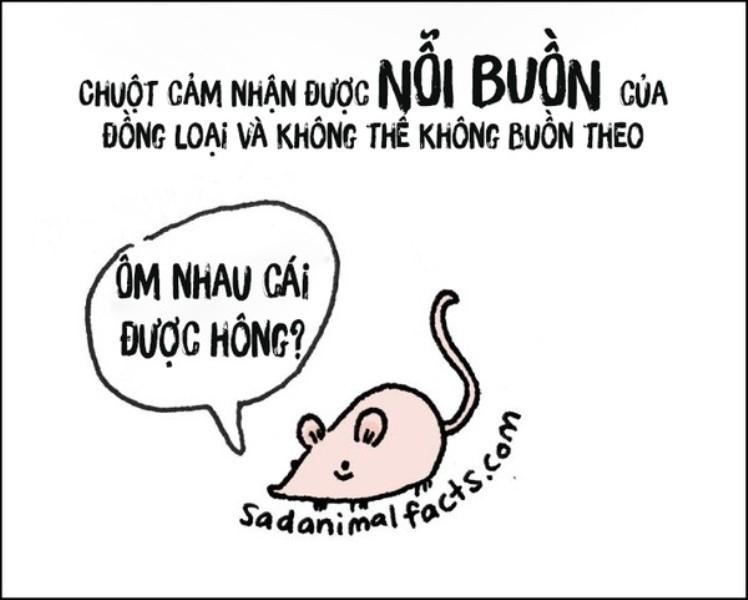 Chuột