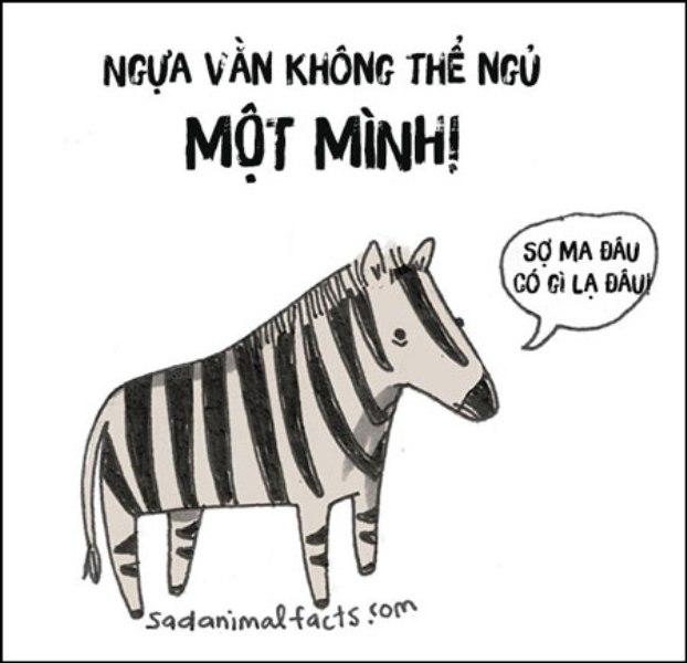 Ngựa vằn